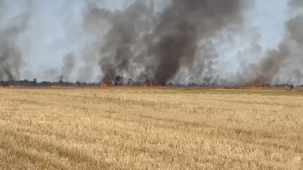 Incendiu de proporții în Valea Călugărească. Ard 5 hectare de vegetație. Un autoturism a fost mistuit de flăcări