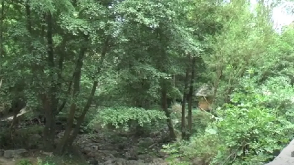 Locul de poveste iubit și de turiștii străini. Este o destinație de vis - VIDEO