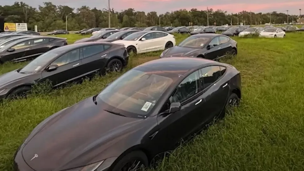 Misterul mașinilor Tesla, fabricate în 2024, abandonate pe un câmp VIDEO