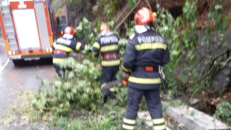 Traficul rutier, blocat pe Valea Oltului. Un copac a fost doborât de vânt pe șosea, în stațiunea Călimănești