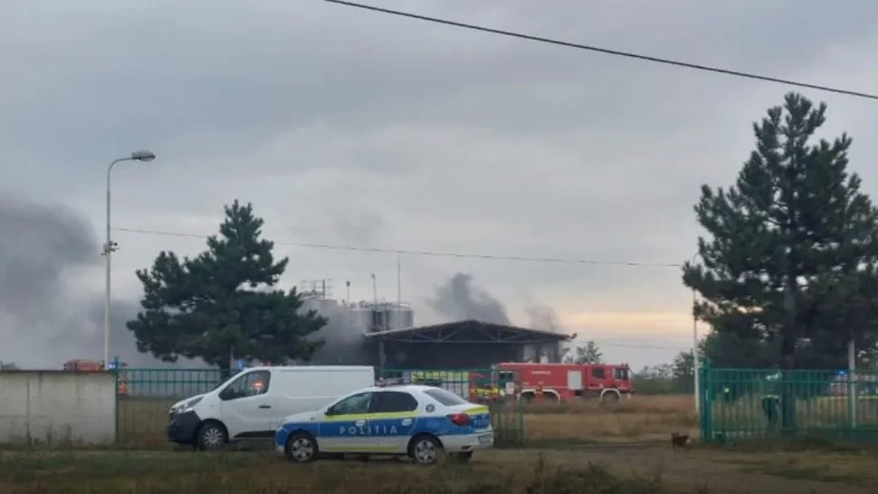 Cramă cu vinuri din Vrancea, mistuită de flăcări. Nu au fost anunțate victime