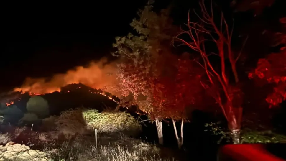 Incendiu URIAȘ de pădure în județul Alba. Ard 10 hectare de vegetație uscată într-o pădure de pin - FOTO
