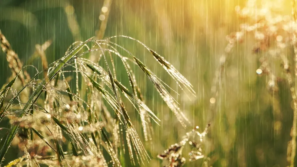 Prognoza meteo până pe 23 iunie: alternanțe nefirești, în prima lună de vară. ANM anunță temperaturi de coșmar