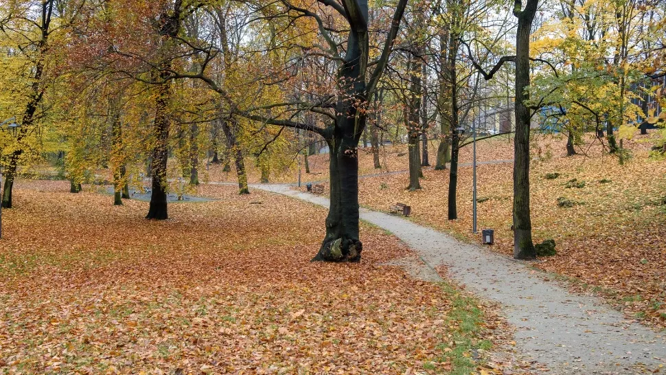 România, tot mai aproape de echinocţiul de toamnă. Când va avea loc și ce schimbări aduce în viața oamenilor