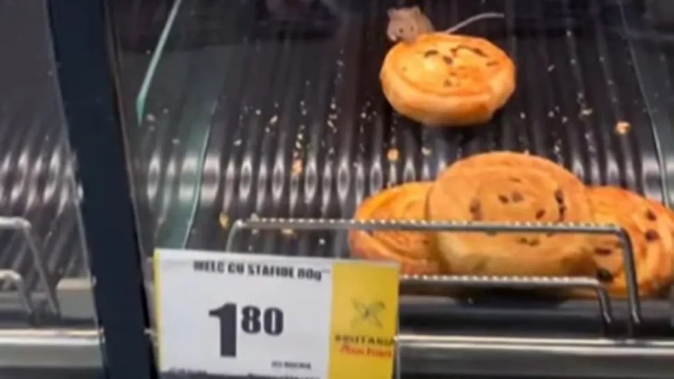Șoarece în vitrina de patiserie a unui magazin Auchan din Timișoara. Ce spun reprezentanții companiei – VIDEO