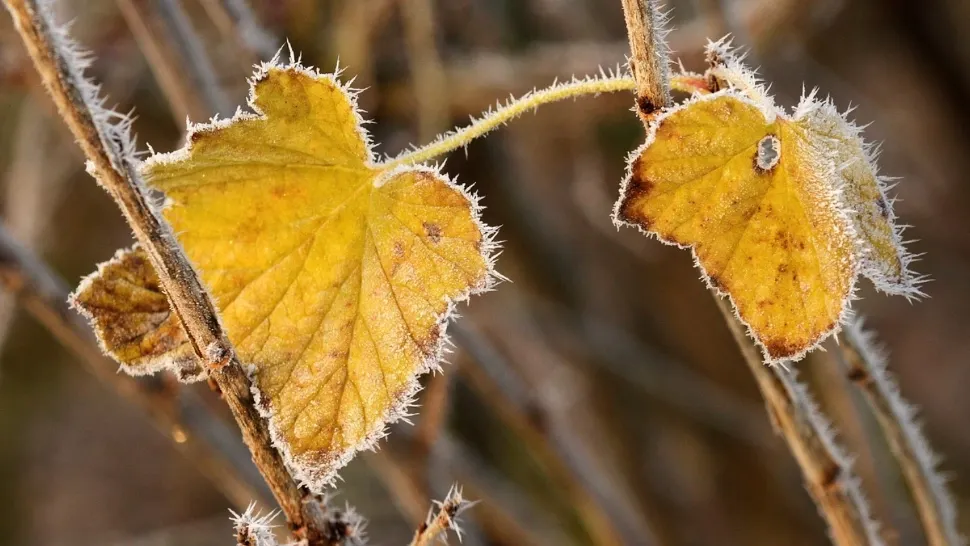 Vremea, 19 octombrie. Frigul acaparează România. Temperaturi mult mai scăzute pentru normalul perioadei