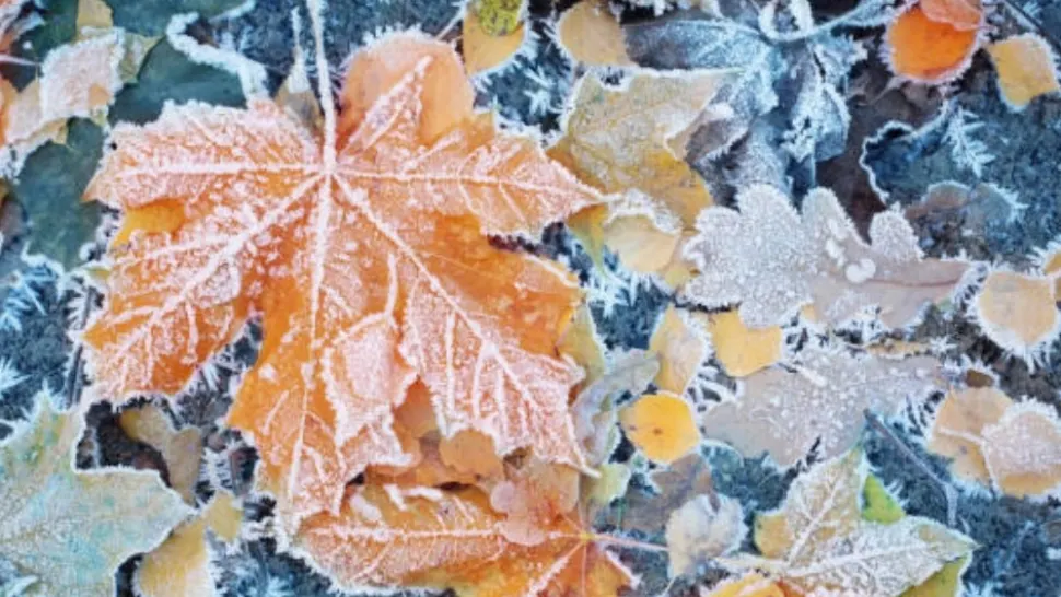 Val de frig în București: ANM a emis o prognoză meteo specială - temperaturile scad brusc cu până la 20 de grade!