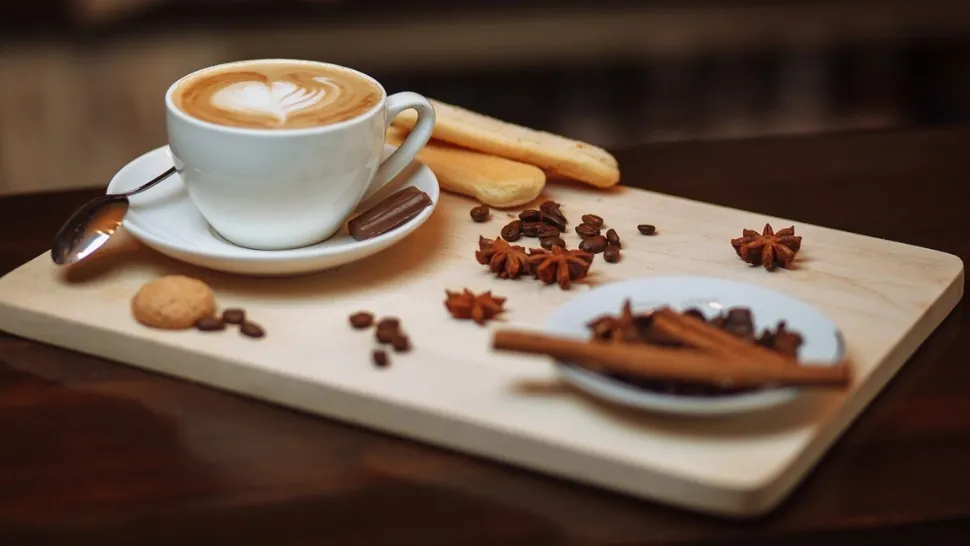 Cocaină extrasă din cafea într-un laborator dintr-o cabană din Bihor: Ce pedepse au primit traficanții