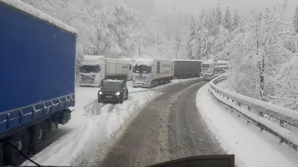  Cod galben de ninsori și vânt puternic în trei județe. Este URGIE pe drumurile de munte, șoferii sunt sfătuiți să le evite - ANM