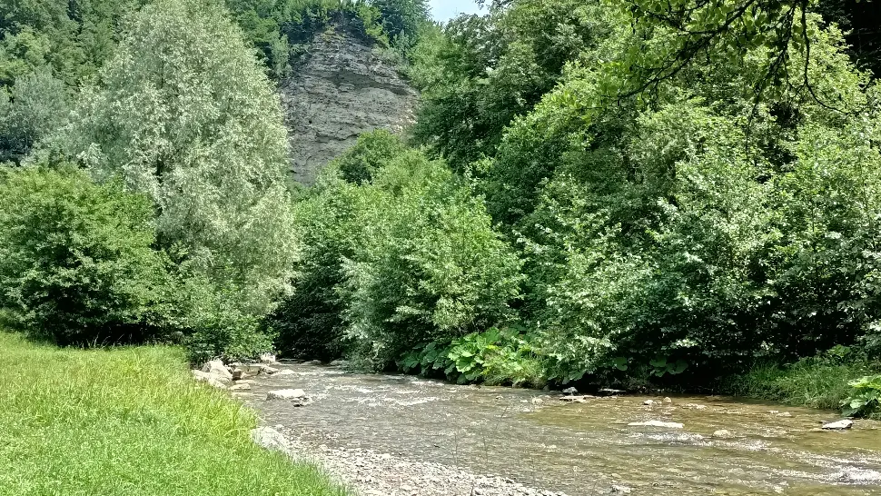 Specia preistorică ce trăiește doar în România. Este considerată un adevărat miracol al naturii