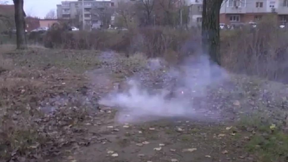 A început sezonul petardelor! Animalele sunt în PERICOL