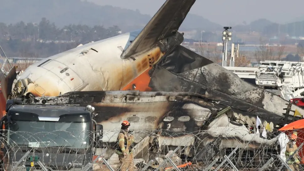 Cauza producerii ACCIDENTULUI AVIATIC din Coreea de Sud, posibil să fie elucidată. SURSE: Pene de pasăre şi sânge, găsite în ambele motoare ale aeronavei