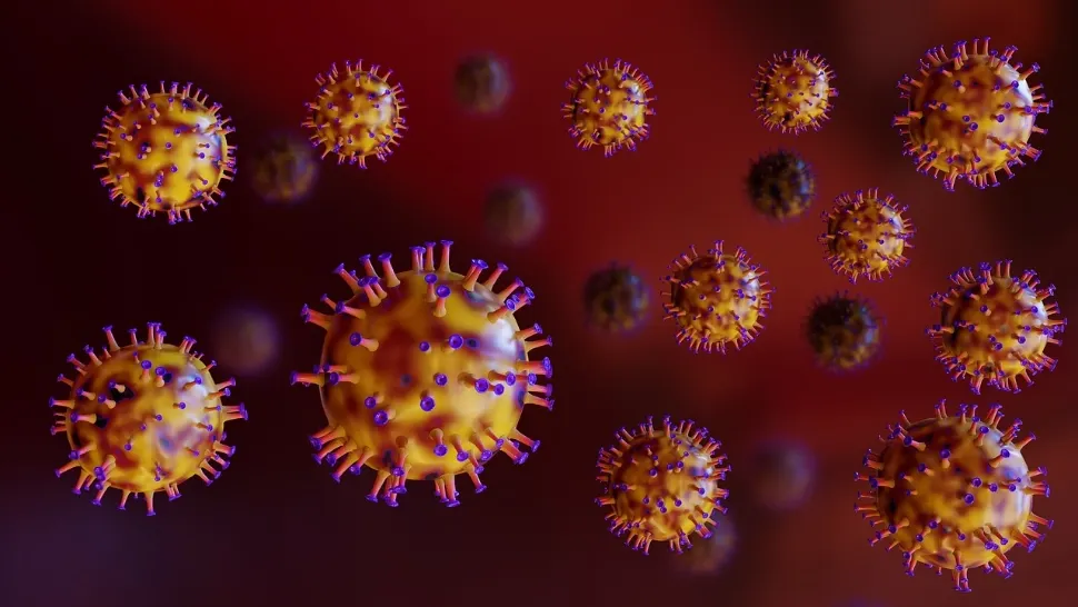 Un nou VIRUS amenință omenirea. Pandemia care este pe cale să izbucnească