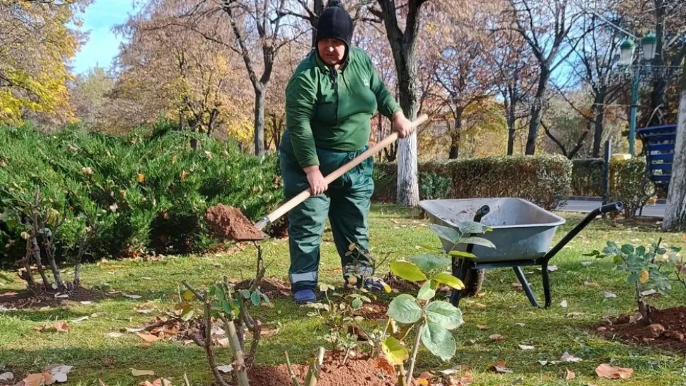 Totul Verde, realizări remarcabile în 2024 - FOTO