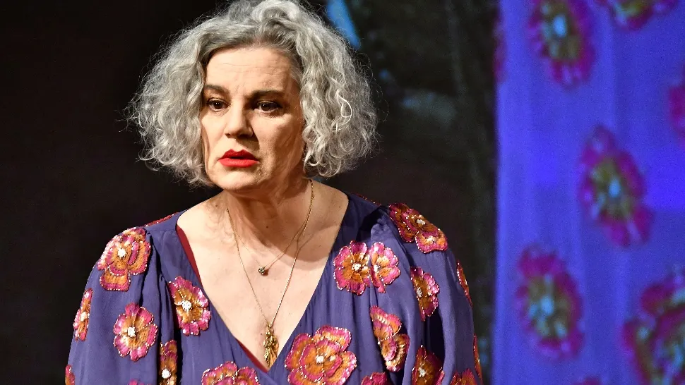 Situație halucinantă la Teatrul Evreiesc de Stat: actorii joacă păziți de jandarmi! Autoritățile, sesizate în urma unor amenințări pe TikTok