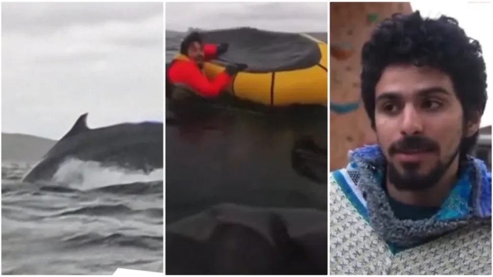 Adrian a fost înghițit de o balenă, chiar sub privirile tatălui său. Povestea expusă în Pinocchio a devenit realitate - VIDEO