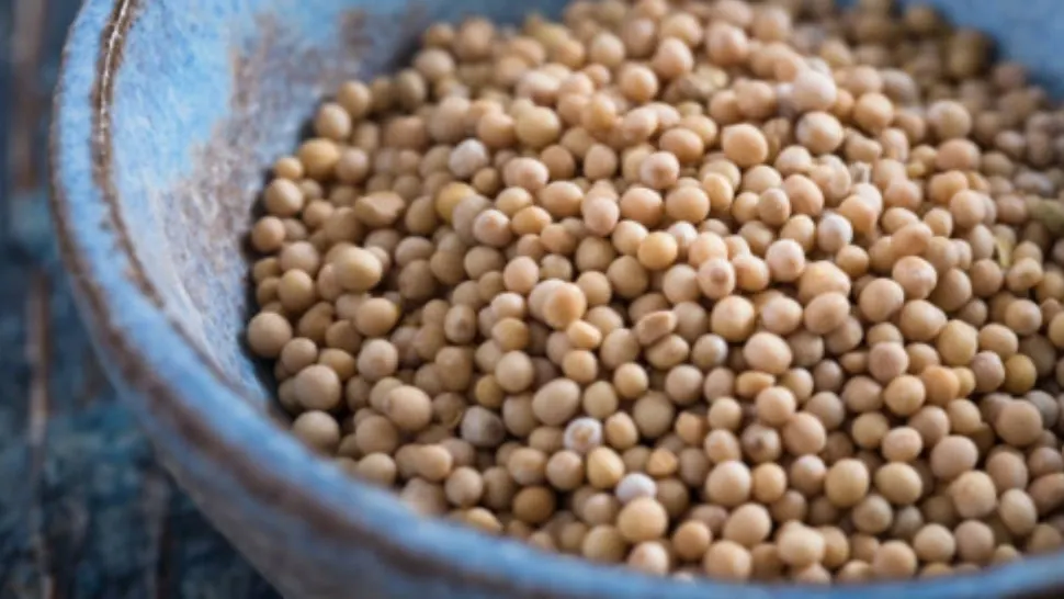 Alimentul care te scapă de colesterolul mărit. Face minuni dacă îl consumi zilnic 