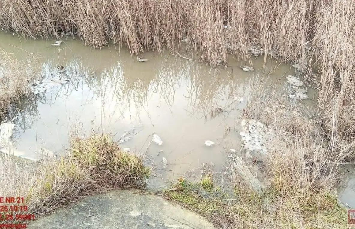 Poluare cu amoniac, într-un râu din Botoșani. Stațiile de epurare, sursa contaminării - amendă uriașă 