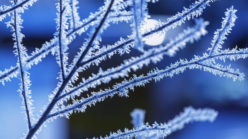 Vremea 13 februarie. Ger năprasnic în toată țara! Românii, nevoiți să facă față unor temperaturi minime de până la -12 grade 