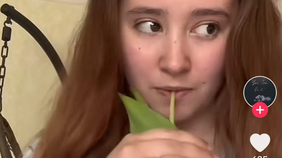 Un nou TREND periculos pe TikTok: consumul de lalele. Cât de nociv este pentru sănătate