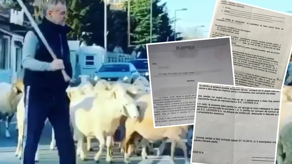 Noi documente bomba care îl înfundă pe Becali. Mafia imobiliară controlată de oierul din Pipera, deconspirată 