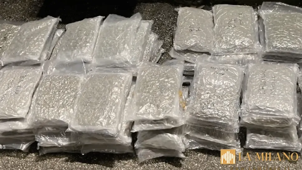 Român prins în camion cu peste 90 de kilograme de canabis