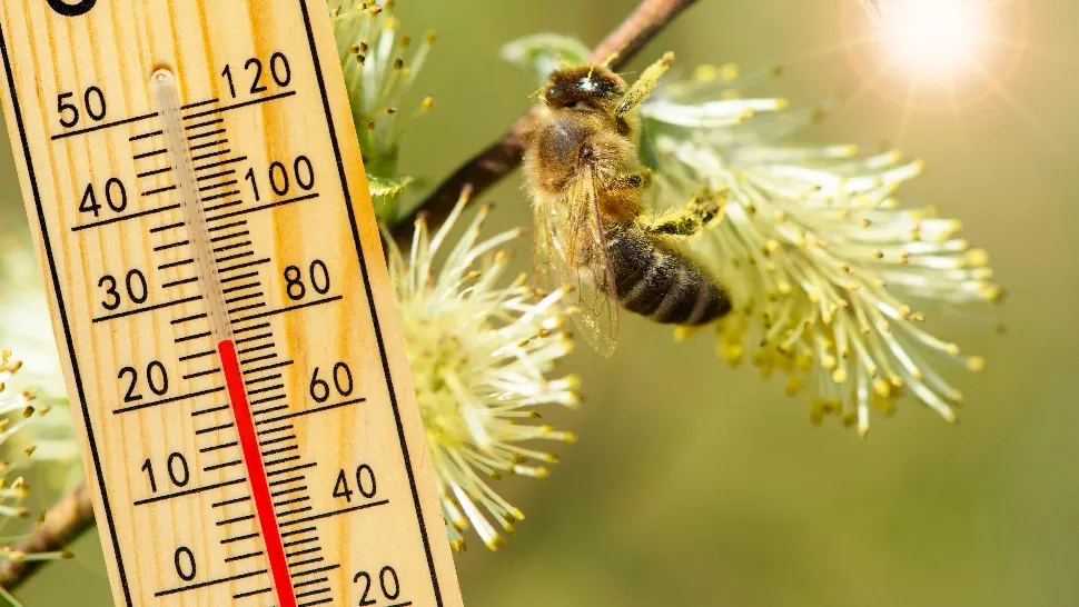 Vremea 20 martie. Temperaturile cresc în toată țara: unde va fi cel mai cald astăzi