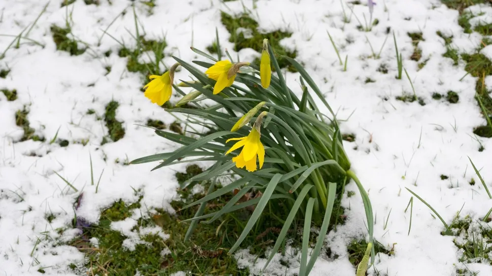 Prognoza meteo 18 martie. Vremea se răcește brusc! Unde va ninge astăzi