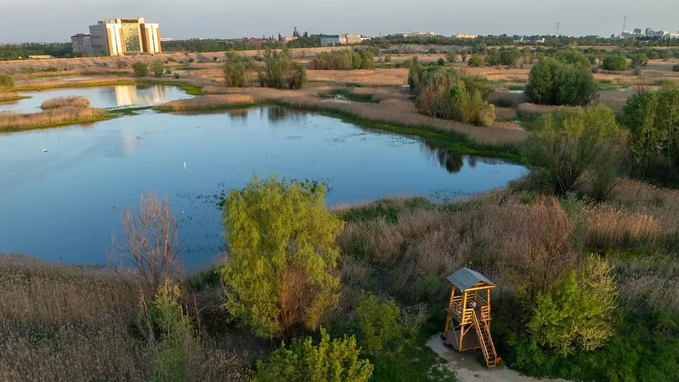 Răgaz de liniște și spectacol natural în Parcul Natural Văcărești - FOTO