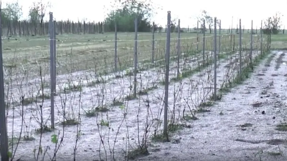 Dezastru în localitățile lovite de furtunile cu grindină. Gospodării și terenuri agricole distruse