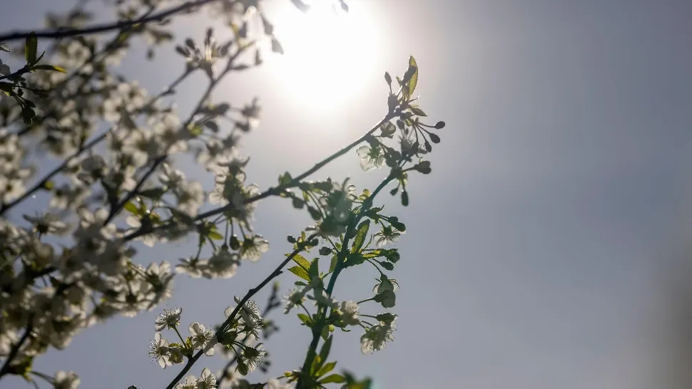 Vremea 14 mai. Temperaturi scăzute și astăzi. La cât ajung maximele zilei 