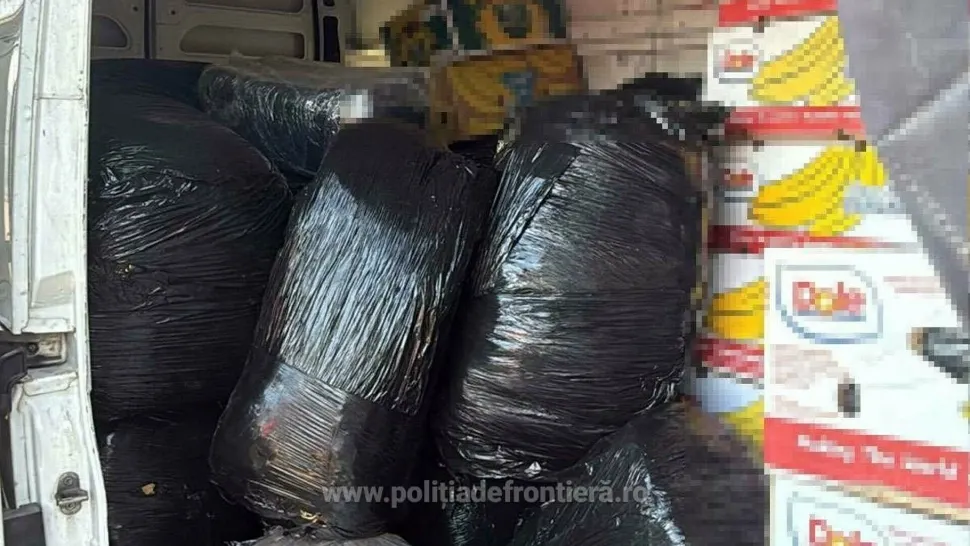 Captură impresionantă la frontiera cu Bulgaria: oamenii legii au făcut o descoperire de 20.000 de euro într-un microbuz cu varză