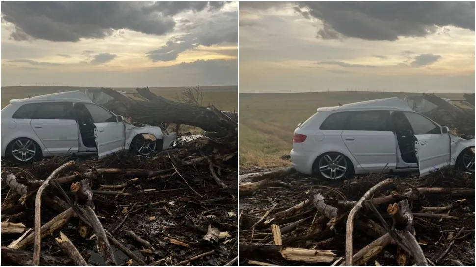 Copac dobortât de vânt peste o mașină în Teleorman! Două femei și doi copii, transportați la spital 