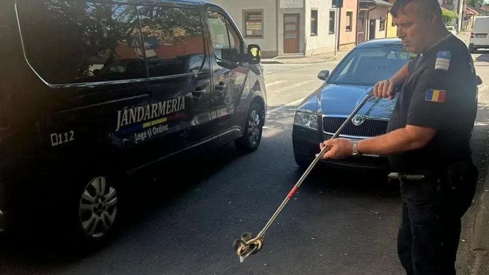 Panică în județul Mehedinți! Jandarmii, solicitaţi să îndepărteze doi şerpi 
