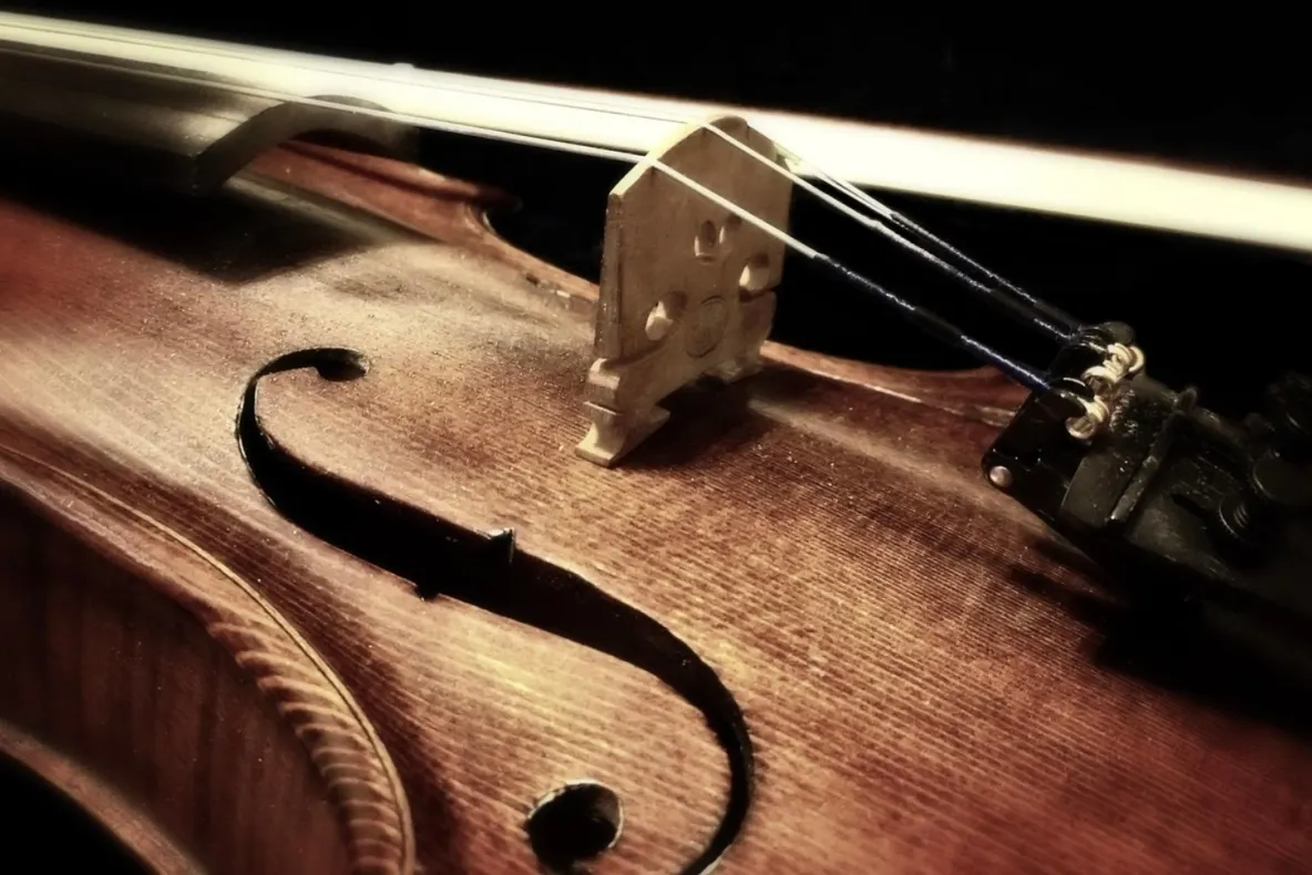 Detalii șocante despre moartea tânărului violonist român lovit de fulger în casă
