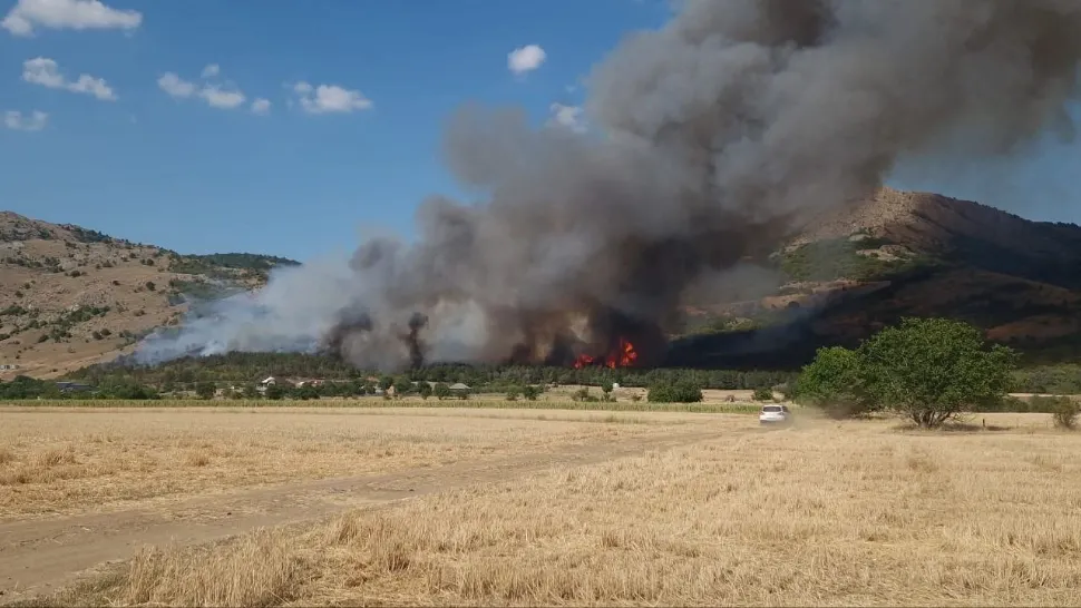 Incendiu URIAȘ în județul Tulcea! Arde pădurea din comuna Greci, localnicii au fost chemați să acorde sprijin - FOTO