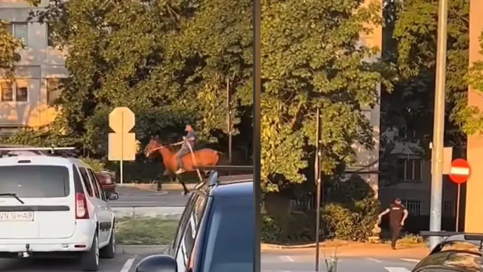 VIDEO. Un bărbat călare pe cal a pus pe jar poliția din Focșani. Polițiștii înarmați l-au fugărit printre blocuri pe haiducul modern