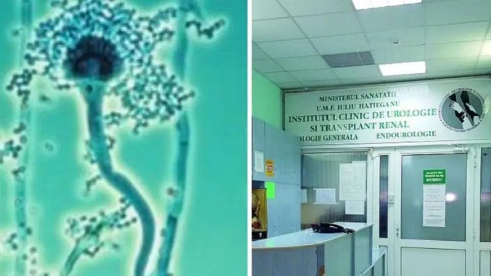 Alertă sanitară! O bacterie extrem de periculoasă, găsită în sala de operație a unui mare spital din țară: rată de mortalitate ridicată  