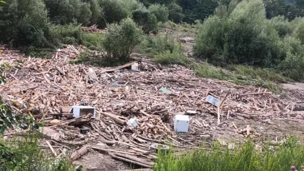 Alertă în comuna Borca din Neamț! Tone de material lemnos, resturi menajere și animale moarte, aduse de viituri pe râul Bistrița