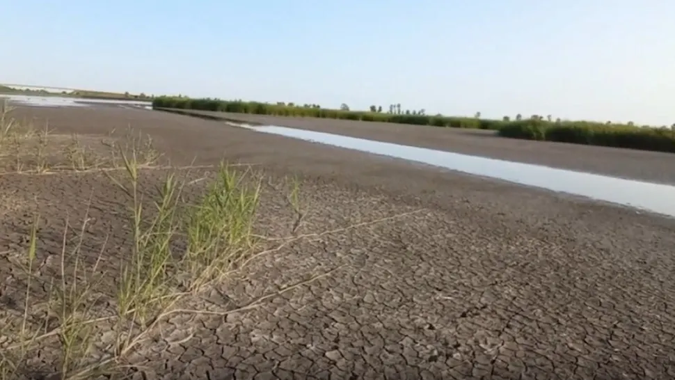 Catastrofă ecologică în Satu Mare: un lac protejat rămâne fără APĂ