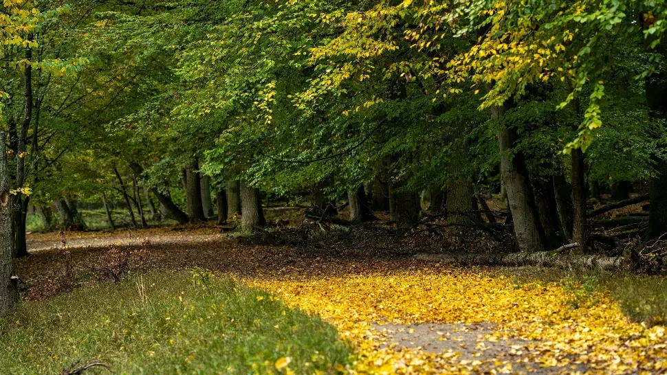 Au apărut alte două anotimpuri. Ce arată noile studii! Ce se va întâmpla în viitor?