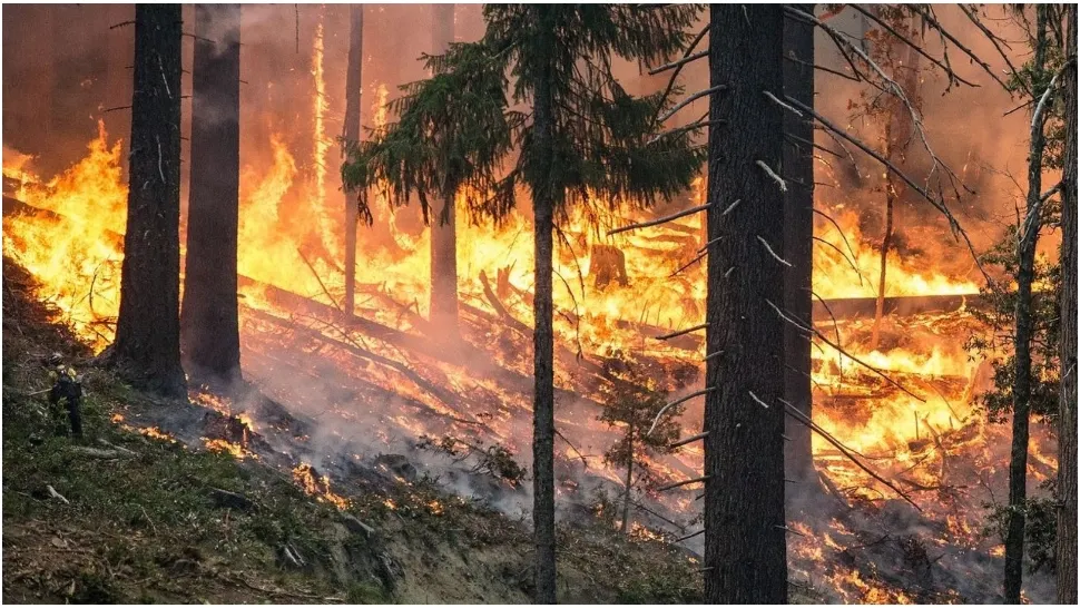 MAE, atenționare de călătorie pentru Franța! Incendiile de vegetație fac prăpăd în Hexagon