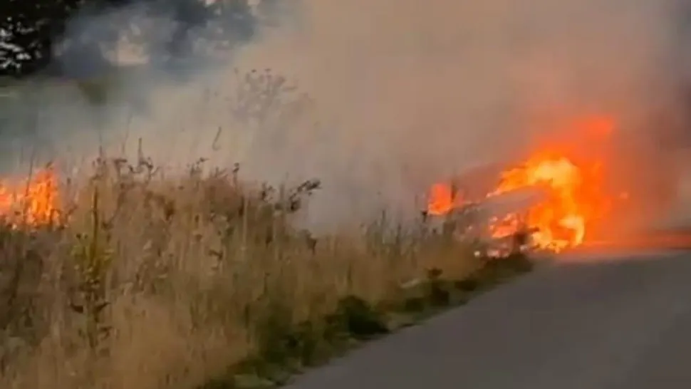 Incendiu masiv în Teleorman: 80 de hectare mistuite de flăcări