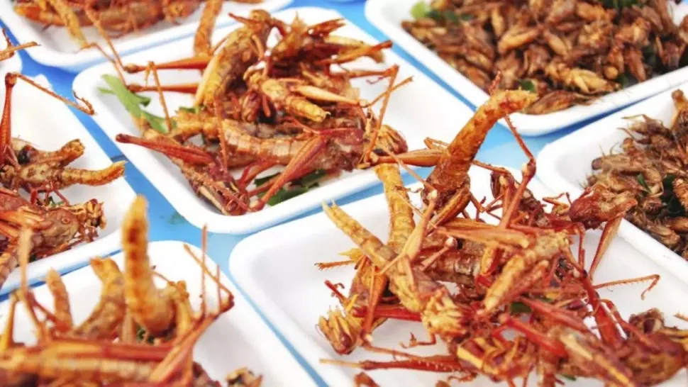 Cum să descoperi dacă produsele de la raft conțin făină de insecte. Detaliul de pe etichetă care îi dă de gol pe producătorii necinstiți