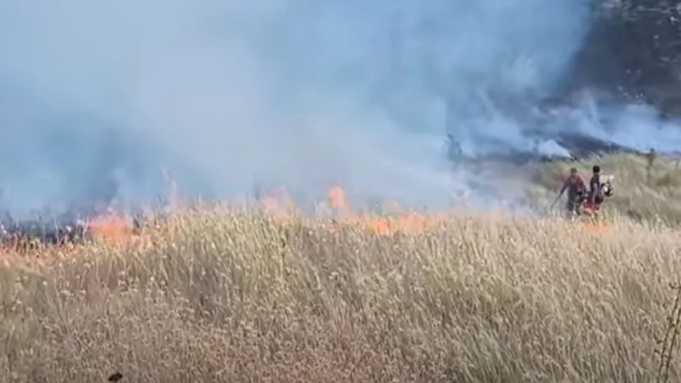 Un nou încendiu de amploare. Ard 40 de hectare de vegetație în Buzău VIDEO