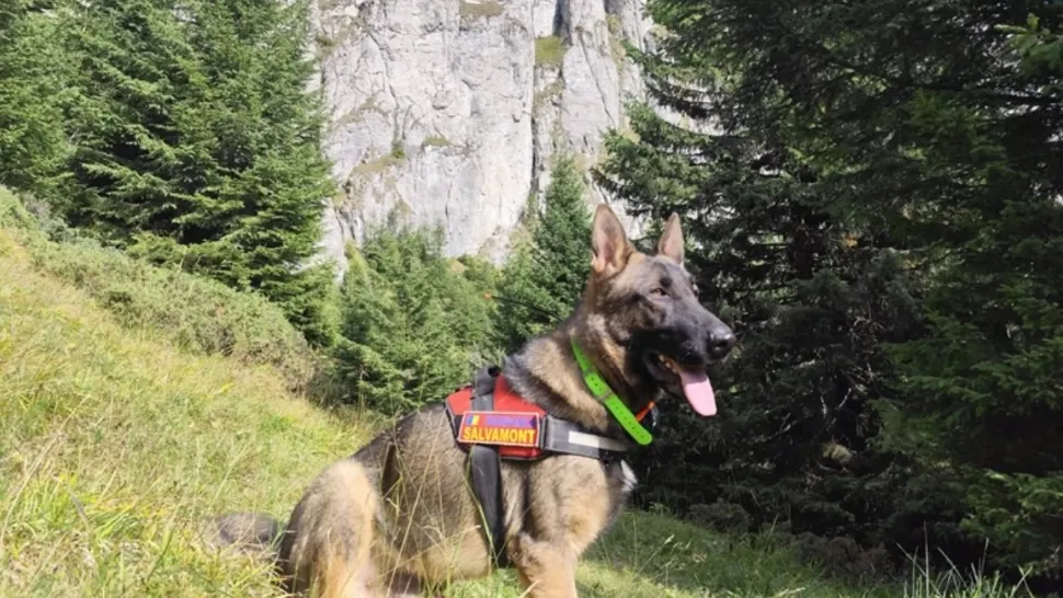 Schelet uman, descoperit în Munții Ceahlău. Anchetatorii cred că rămășițele datează de peste 20 de ani. Tulburător ce au găsit în haine - FOTO