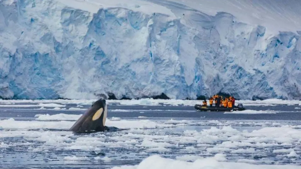 O agenție românească „sparge gheața”: prima croazieră de lux în Antarctica, la bordul unui spărgător de gheață