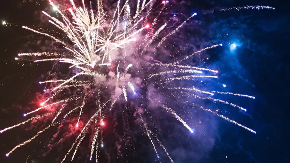 Orașul care renunță definitiv la artificiile de Revelion. Spectacolul de lumini va fi înlocuit cu lasere, pentru protejarea animalelor