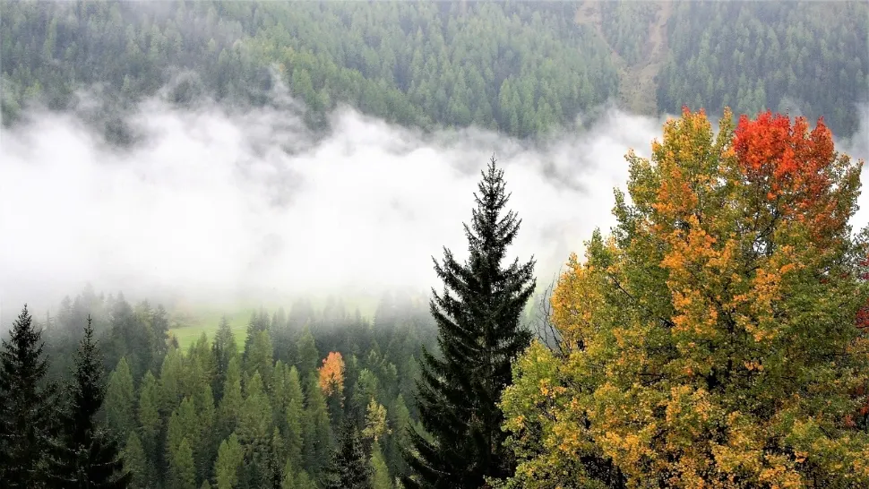 5 locuri superbe de vizitat în România în noiembrie – destinații perfecte pentru weekenduri de toamnă