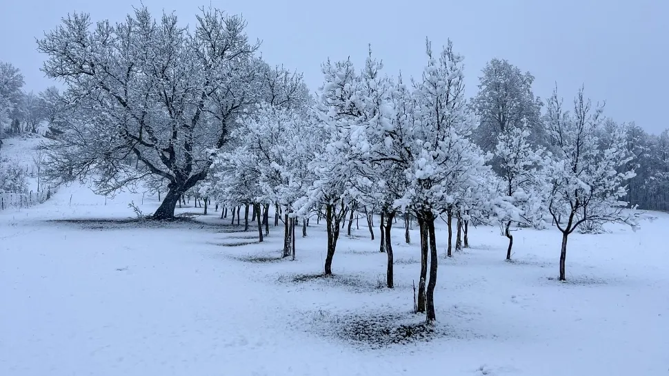 Meteo, România, 27 decembrie: fulguieli izolate, temperaturi scăzute și vânt intens în majoritatea regiunilor